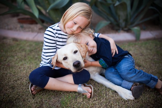 View More: http://dreamphotographystudio.pass.us/wand